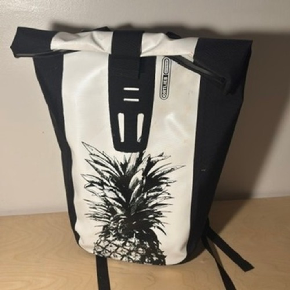 Ortlieb Commuter Cycling Waterproof Backpack White Rolltop Pineapple Velocity